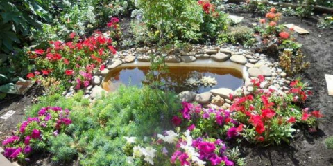 Jak vybavit rybník v zemi: designové nápady a aplikace v krajinném designu (165 fotografií + video)